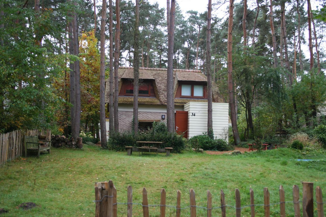 Waterlelie 34 Rekem Villa Exteriör bild